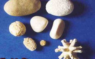 Фосфатные камни в почках диета