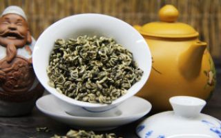 Почечный чай полезные свойства и противопоказания